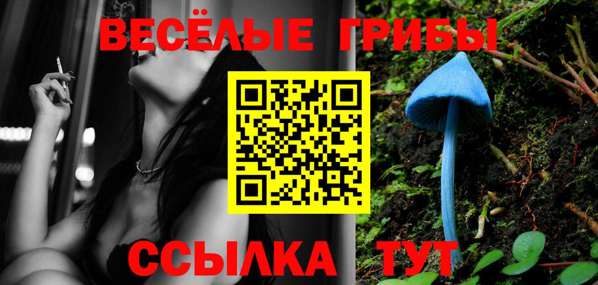Псилоцибиновые грибы Cubensis Гусь-Хрустальный